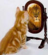 Macska a tükörbe néz